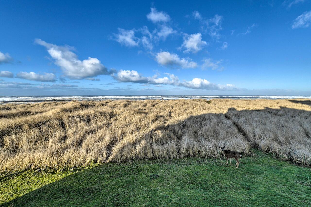 Eagles View Condo In Ocean Shores With 3 Balconies Luaran gambar